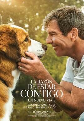 La Razón De Estar Contigo 2: Un Nuevo Viaje